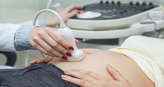 Ultrasound Training